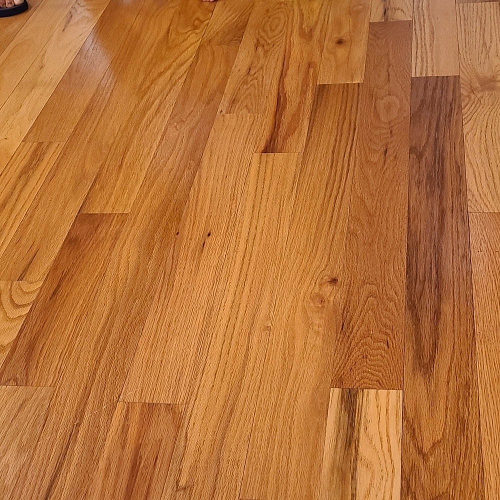 Meet your Posher, Ai